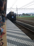 SH3K04480001.jpg
