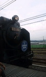 SH3K044900010001.jpg