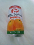 SH3K06630001.jpg